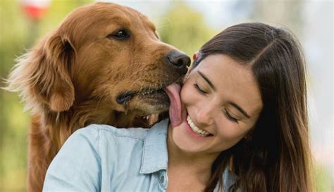 mujeres follando con perros grandes|Rubia se deja coger por su perro por primera vez